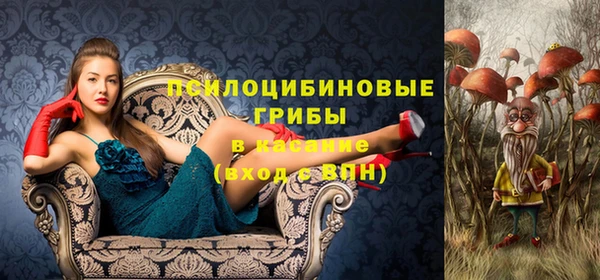 прущие грибы Баксан