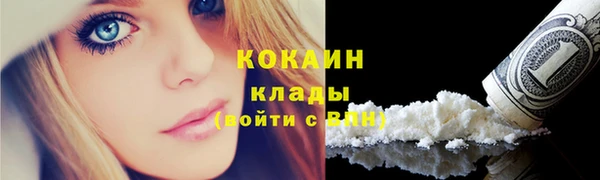 прущие грибы Баксан