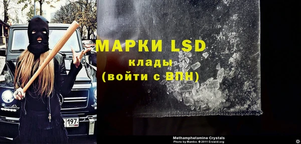 прущие грибы Баксан