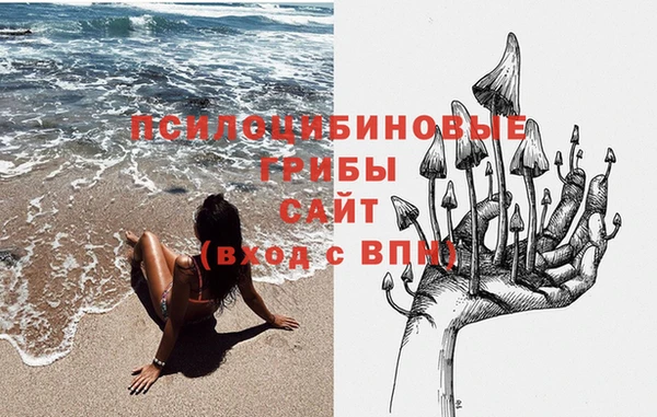 прущие грибы Баксан