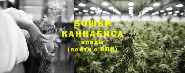 прущие грибы Баксан