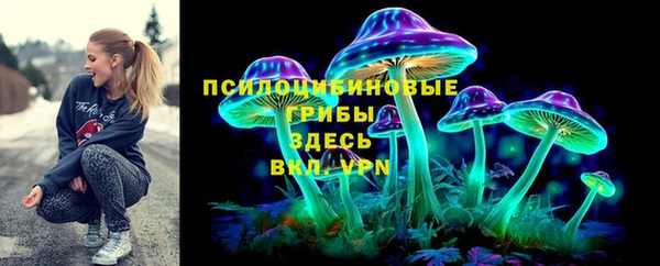 прущие грибы Баксан