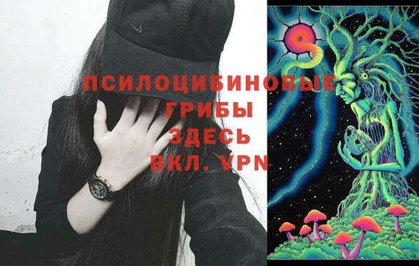 прущие грибы Баксан